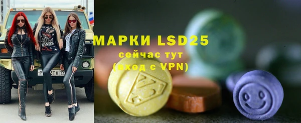 ECSTASY Липки