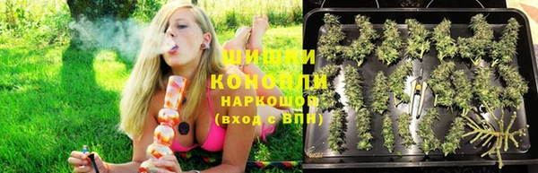ECSTASY Липки