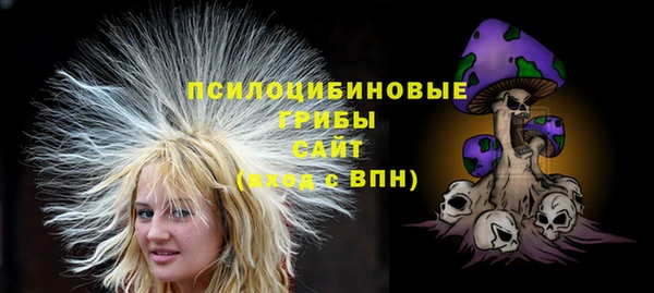 ECSTASY Липки