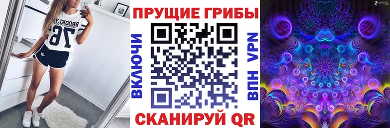 это состав ОМГ ОМГ маркетплейс Могоча Галлюциногенные грибы Psilocybe
